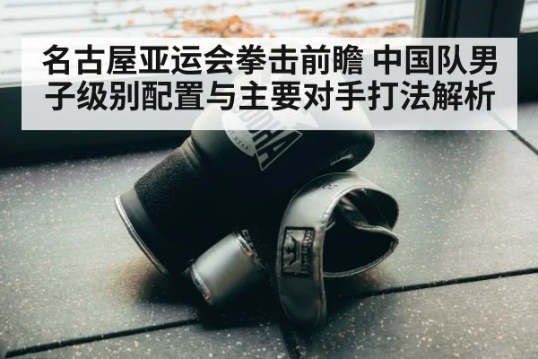 boxing training gloves